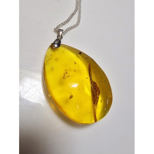 209 - Large and impressive natural baltic amber pendant on a good 18 inch 925 Silver chain along with a pa... 