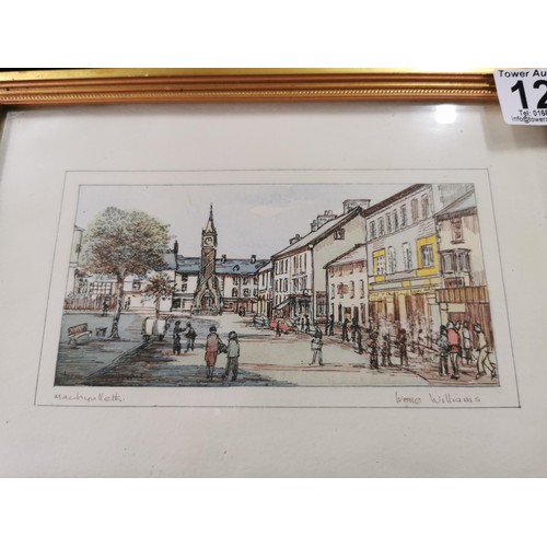 121 - An original framed and glazed ink and water colour drawing of Machynlleth by Lyn Williams. The pictu... 