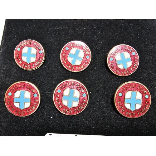 218 - A collection of 10 vintage enamel badges Faith and Family Teulu Duw all in good order with blue cros... 