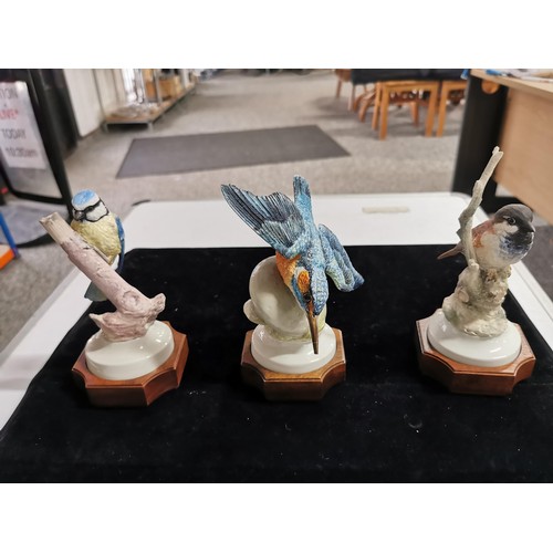 149 - 3 boxed Albany fine china bird figurines standing on wooden plinths, all with COA's, 2500 of each fi... 