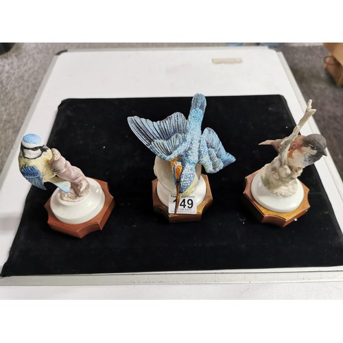 149 - 3 boxed Albany fine china bird figurines standing on wooden plinths, all with COA's, 2500 of each fi... 