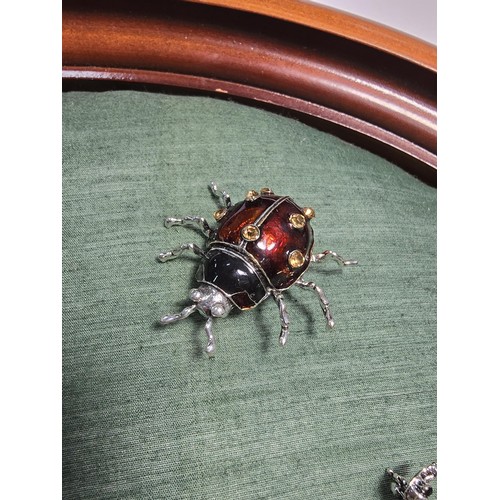 279 - A framed oval display cushion containing a quantity of 8 brooches including ladybird, bee, a cat on ... 