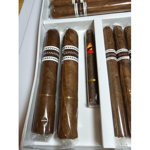 310 - Case containing a large quantity of sealed cigars and cigarillos to include  2x different brands (Gu... 