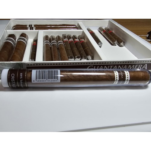 310 - Case containing a large quantity of sealed cigars and cigarillos to include  2x different brands (Gu... 