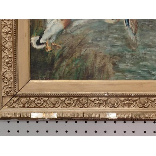 411 - A gilt framed oil painting of mallard ducks in flight across a river scene. Gilt frame has some loss... 