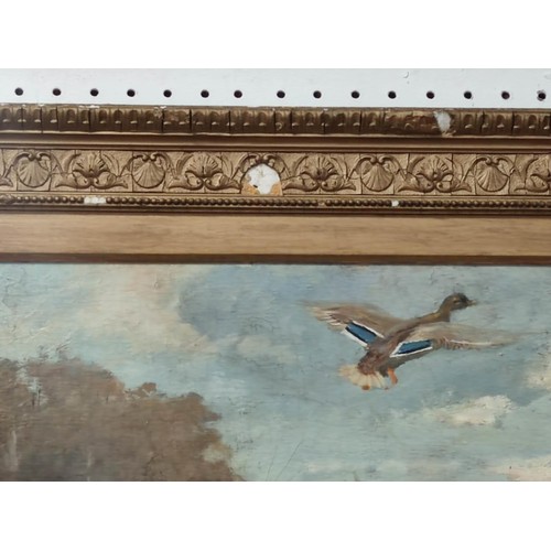 411 - A gilt framed oil painting of mallard ducks in flight across a river scene. Gilt frame has some loss... 