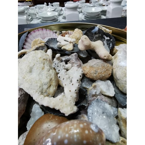 179 - Large qty  of rock and shell specimens. With geodes, sea shells etc