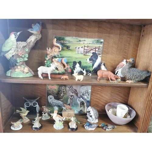 544 - 2x shelves full of collectable animal figures and figure groups of various makers inc a large impres... 