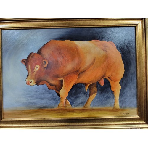 400 - An impressive gilt framed oil on board of a Limousin bull painted by local artist Diarmid Doody (Dee... 