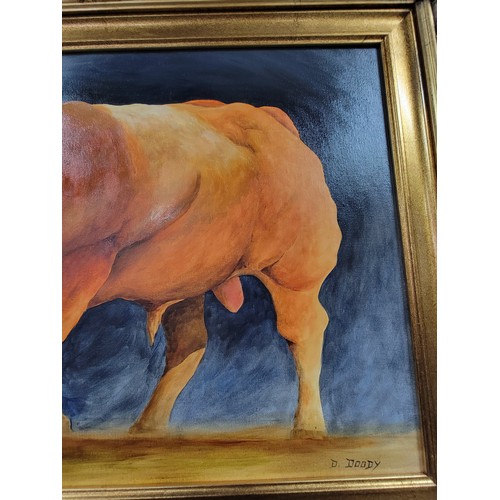 400 - An impressive gilt framed oil on board of a Limousin bull painted by local artist Diarmid Doody (Dee... 