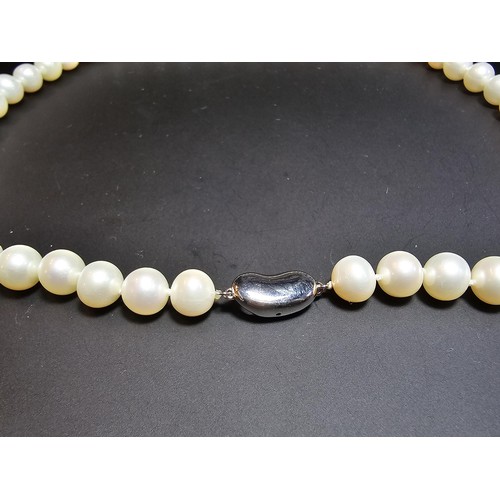 308 - A collection of pearl necklaces to include a good quality genuine pearl beaded necklace with a silve... 