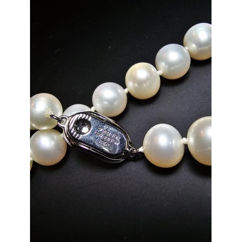 308 - A collection of pearl necklaces to include a good quality genuine pearl beaded necklace with a silve... 