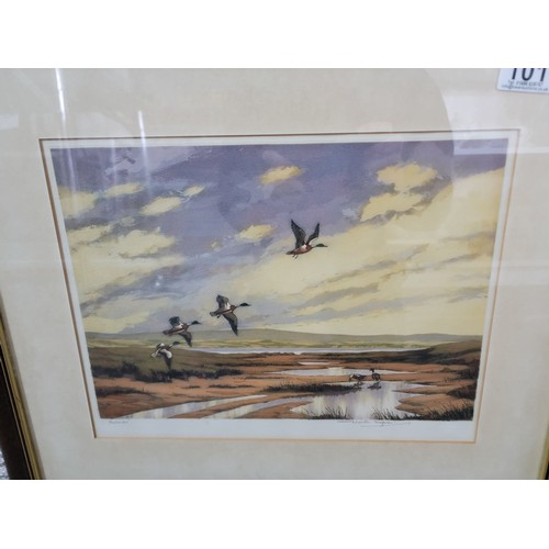 101 - Pair of Good artist proof signed framed and glazed water colours of flying ducks in their natural la... 