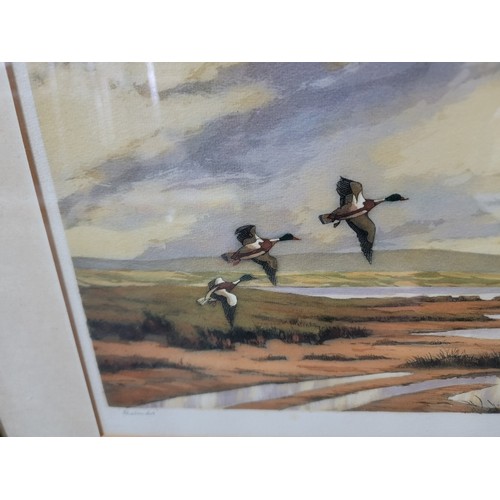 101 - Pair of Good artist proof signed framed and glazed water colours of flying ducks in their natural la... 