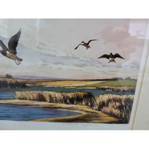 101 - Pair of Good artist proof signed framed and glazed water colours of flying ducks in their natural la... 