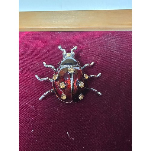 209 - Good quality display board (included) containing a quantity of brooches inc an enamel turtle, silver... 