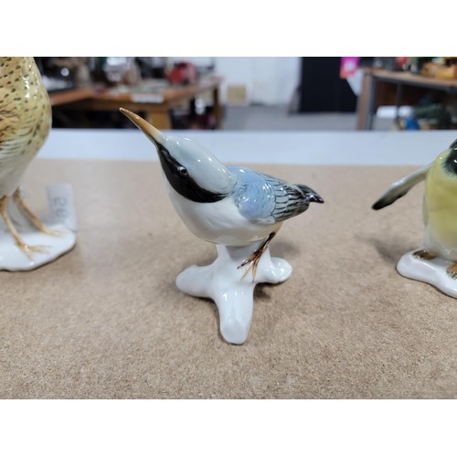 56 - 4x good quality Karl ENS ceramic figures of birds each stamped to the base inc a penguin, curlew etc... 