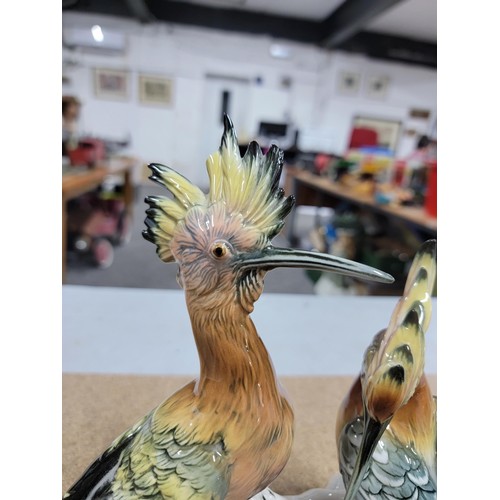 61 - 2x good quality Karl ENS ceramic figures of birds each stamped to the base inc a large pair of Hoopo... 