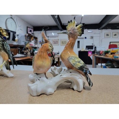 61 - 2x good quality Karl ENS ceramic figures of birds each stamped to the base inc a large pair of Hoopo... 