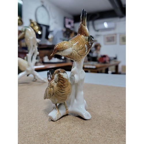 62 - 3x good quality Karl ENS ceramic bird figure groups each stamped to the base inc a pair of budgies, ... 