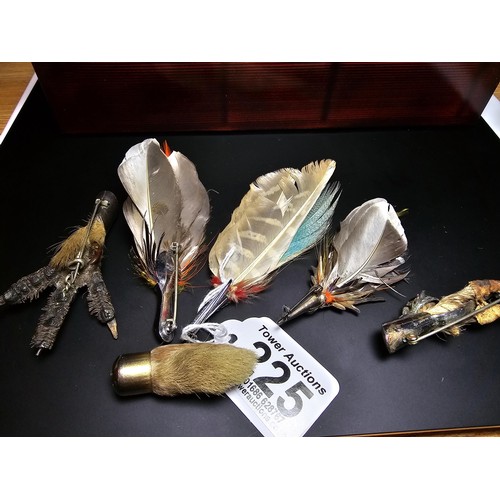 225 - A collection of 6x Scottish brooches which includes 3 brooches with feather plumes, 2 which have sta... 