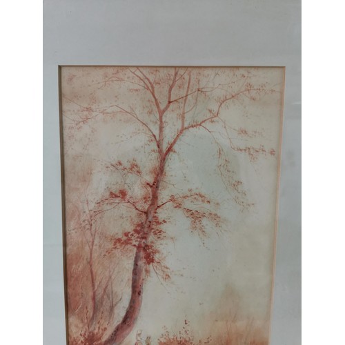 92 - 2x frame and glazed prints of autumnal river/ woodland scene, both would match up well, in matching ... 