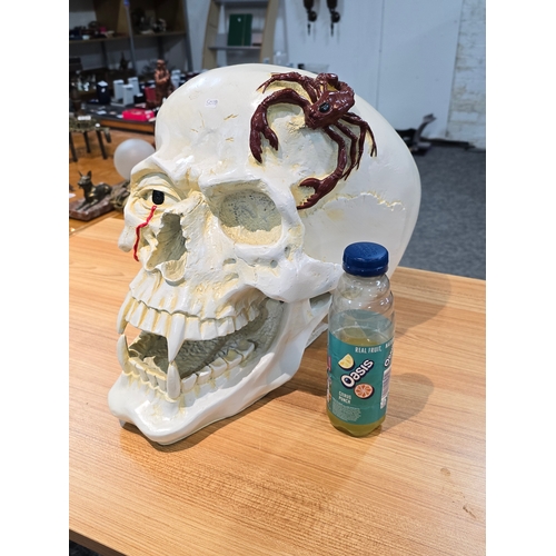 242 - Very Large and Impressive Painted Fibreglass Skull Ornament featuring a scorpion to the top of the s... 