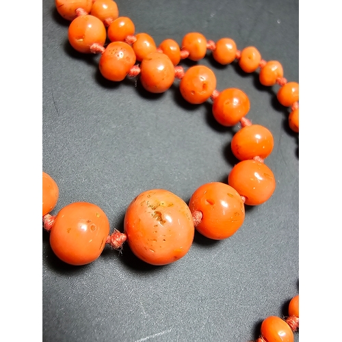 188 - 2x Good Quality Vintage Natural Coral Beaded Necklaces along with a Lapis Lazuli beaded necklace. Fe... 