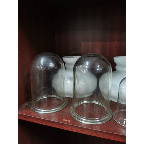 77 - Large collection of glass display domes inc 8x pocket watch display domes some with gilded edges, 5x... 