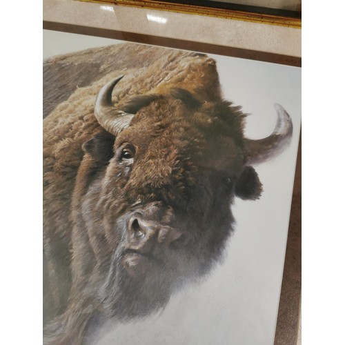 89 - Large frame glazed and mounted Robert Bateman 1987 print of a Buffalo coming out of the mist in good... 