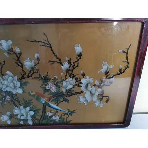 147 - Good quality vintage framed and glazed oriental chrystoleum of a bird on a magnolia tree, in overall... 