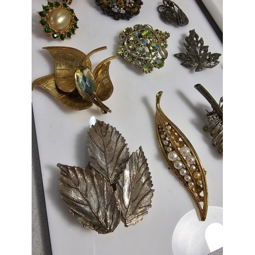 347 - Suite of various costume brooches on two display boards (not included) includes some good leaf form ... 