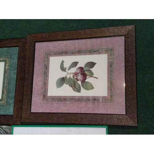 100A - Large collection of 8x framed and glazed prints inc a pair of ornate framed prints of fruit along wi... 