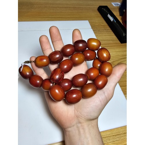 171 - A good fine quality vintage Bakelite amber beaded necklace of large proportions, each bead presents ... 