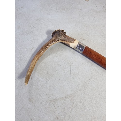 6 - A Black Forest antler formed walking stick, with white metal collar and white metal end in good over... 