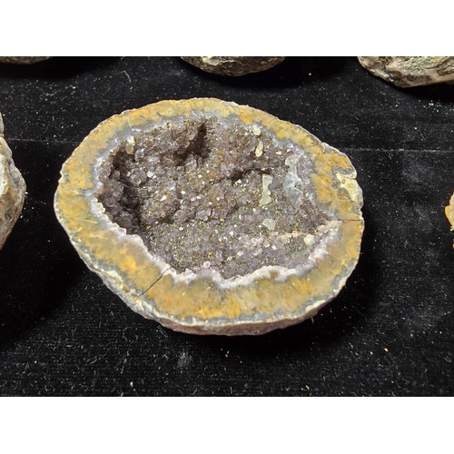 115 - A large collection of small, round geode slices presenting some stunning natural patterns inside and... 