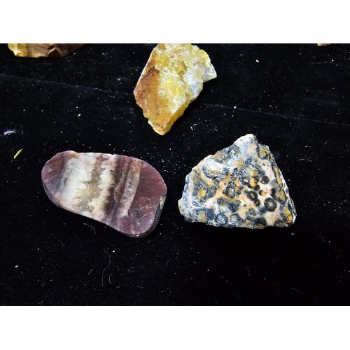 117 - A large collection of various of rocks crystal and mineral specimens along with 2 jars of polished a... 