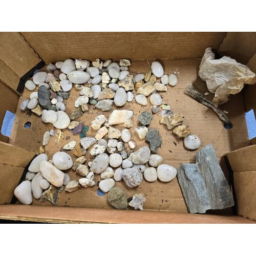 117 - A large collection of various of rocks crystal and mineral specimens along with 2 jars of polished a... 