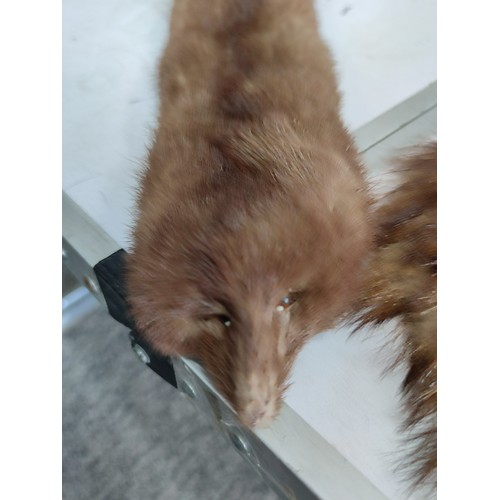 9 - Collection of 1960's vintage furs inc a Bear fur shawl with fastening clip, a 1960's brown Mink full... 