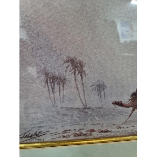 20 - Framed and glazed limited edition print of Wahiba Sands, Oman 1930's by Capt Topsham, No. 174 of 999... 