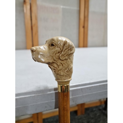 56 - A charming resin Labrador retriever head formed walking stick having a rubber end. In excellent cond... 