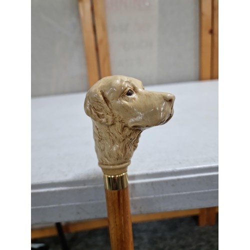 56 - A charming resin Labrador retriever head formed walking stick having a rubber end. In excellent cond... 