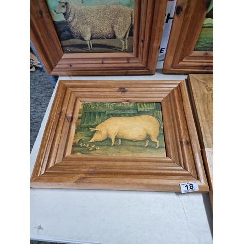 18 - A quantity of 8x wooden framed Victorian style farmyard animal prints including a prized Tamworth, a... 