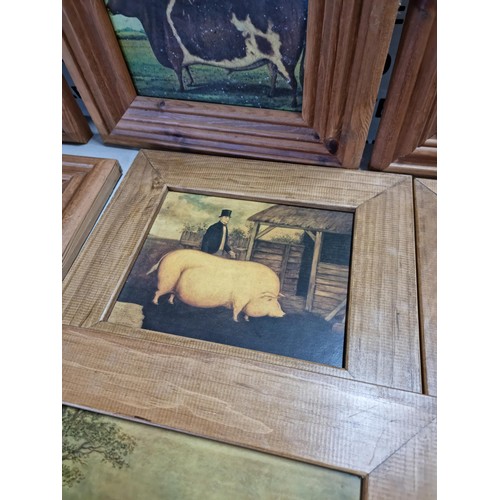 18 - A quantity of 8x wooden framed Victorian style farmyard animal prints including a prized Tamworth, a... 