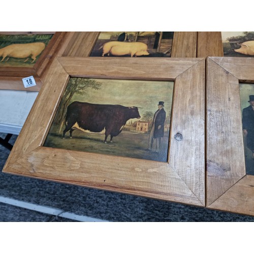 18 - A quantity of 8x wooden framed Victorian style farmyard animal prints including a prized Tamworth, a... 