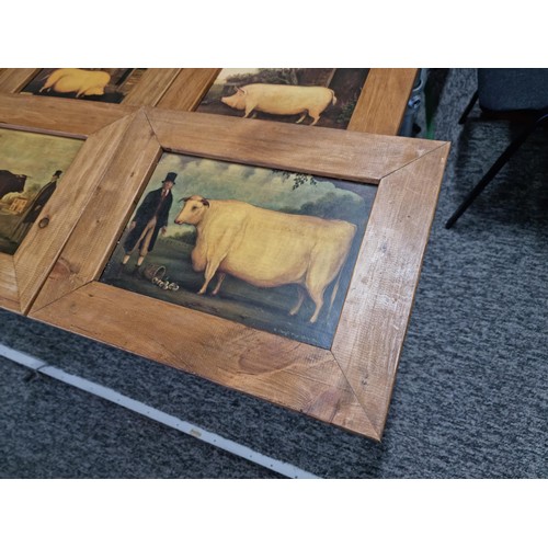 18 - A quantity of 8x wooden framed Victorian style farmyard animal prints including a prized Tamworth, a... 