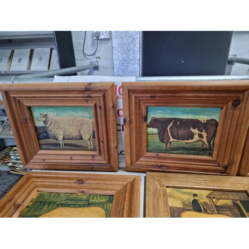 18 - A quantity of 8x wooden framed Victorian style farmyard animal prints including a prized Tamworth, a... 