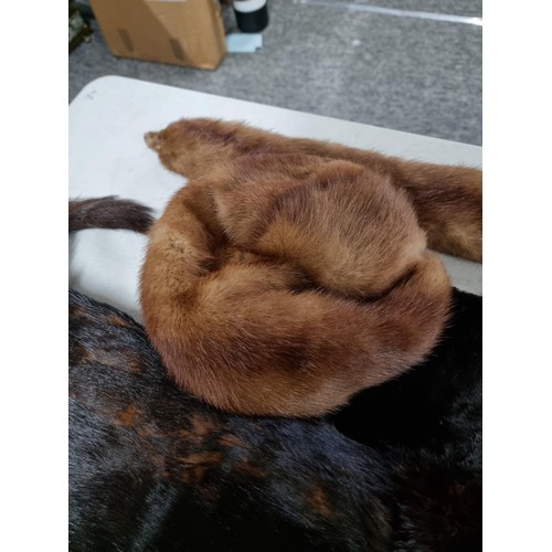 24 - Collection of 1960's vintage furs inc a Bear fur shawl with fastening clip, a 1960's brown Mink full... 