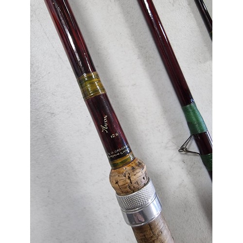 40 - Good quality three piece C&O Gregory Avon 12ft cork handled fishing rod in good overall condition co... 