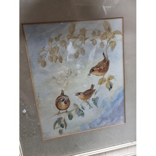 122 - Quantity of 7x framed artwork including 3x framed and glazed watercolours depicting birds and dogs, ... 